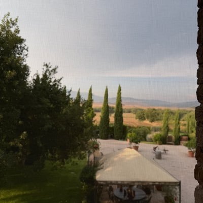 BrandoFerraris's profile picture. 
