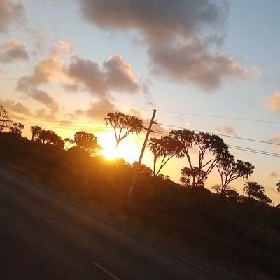 Mcoast_Mwitu05's profile picture. Funny 😁