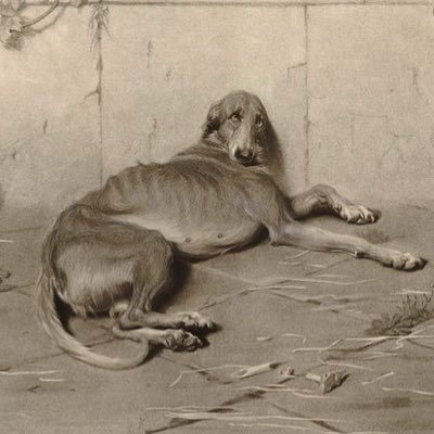 aaldiiaa's profile picture. Even the dogs know their master