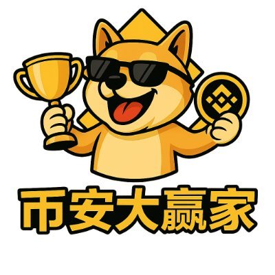币安大赢家 Profile