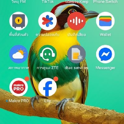 payya_phl42270's profile picture. 