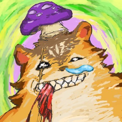 四路＊光のモリバーさんのプロフィール画像