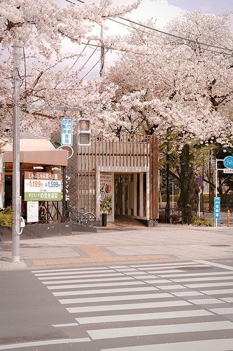 ChampionWilly1's profile picture. 最近VRC始めました！