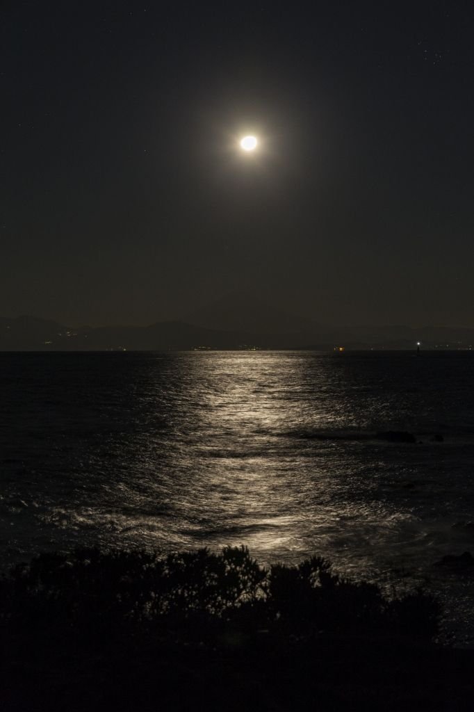 dadoudounette's profile picture. 素人がすっきー