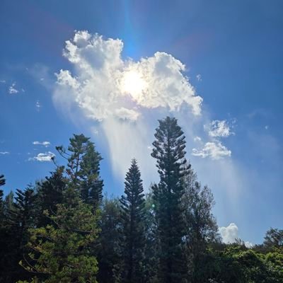 siumaai1's profile picture. Totally PEACE ✨️🌈🌎️💗✌
GOOD VIBES ONLY 💞🎶🎊✨️HIGHER DIMENSIONS TAKES YOU HIGHER LEVEL OF SOULS🤲💫