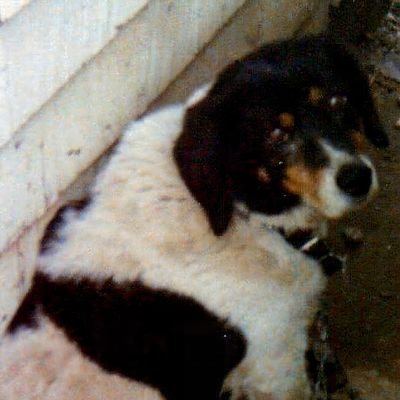 ChipintheCuse's profile picture. Fan of the Rockets, the Titans, the Penguins & the Yankees, hater of Boston sports & the Steelers. Old school text hitter & long-time fan of the Ben Maller Show