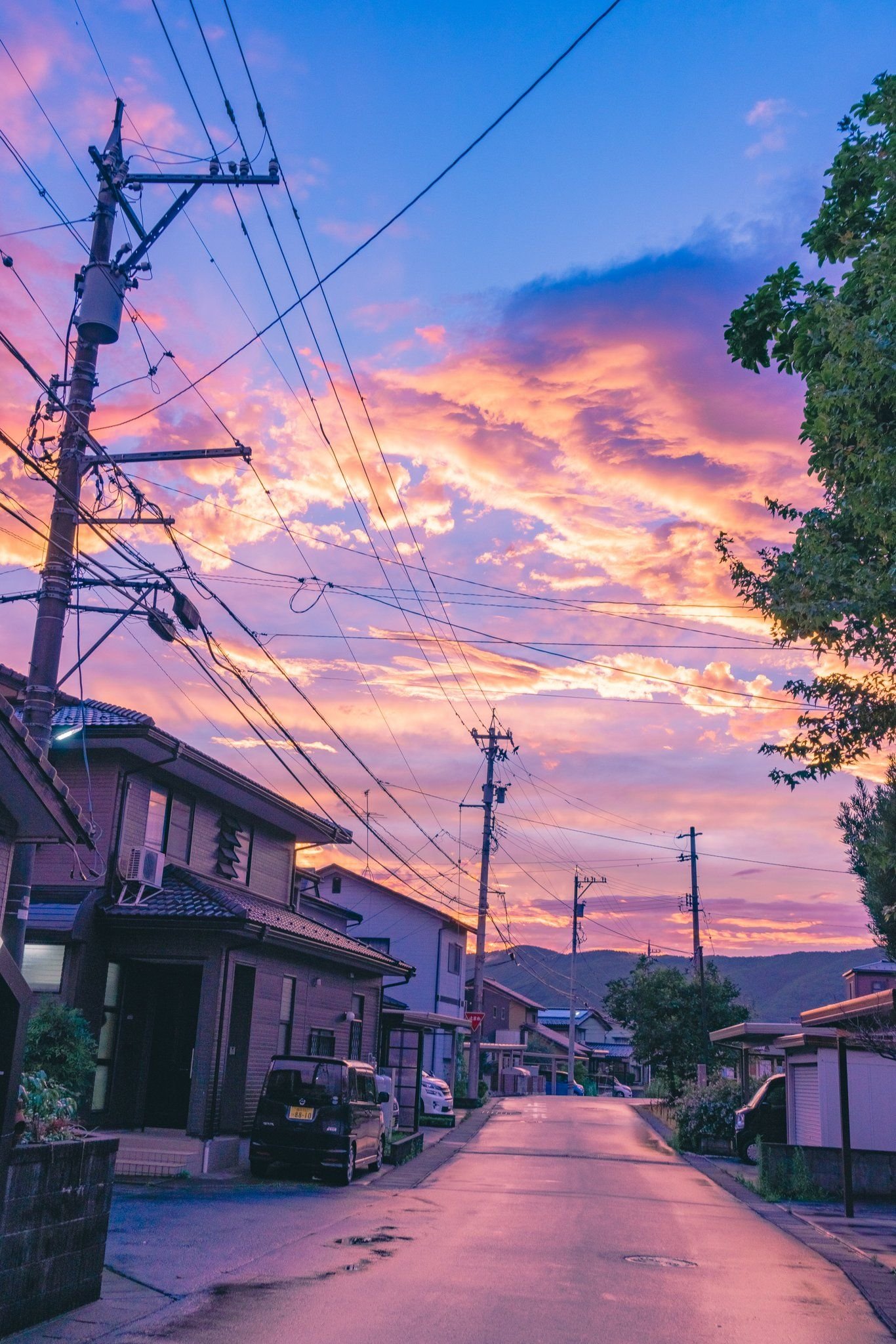 FabianBillek's profile picture. ソウルシリーズとモンハンのゲームアカウントです✌︎('ω'✌︎ ) え？やってる？フレなりましょ？ね？ね？ お気軽にお声掛けくださいw ※web漫画のヤニねこ様とは関係ございません。