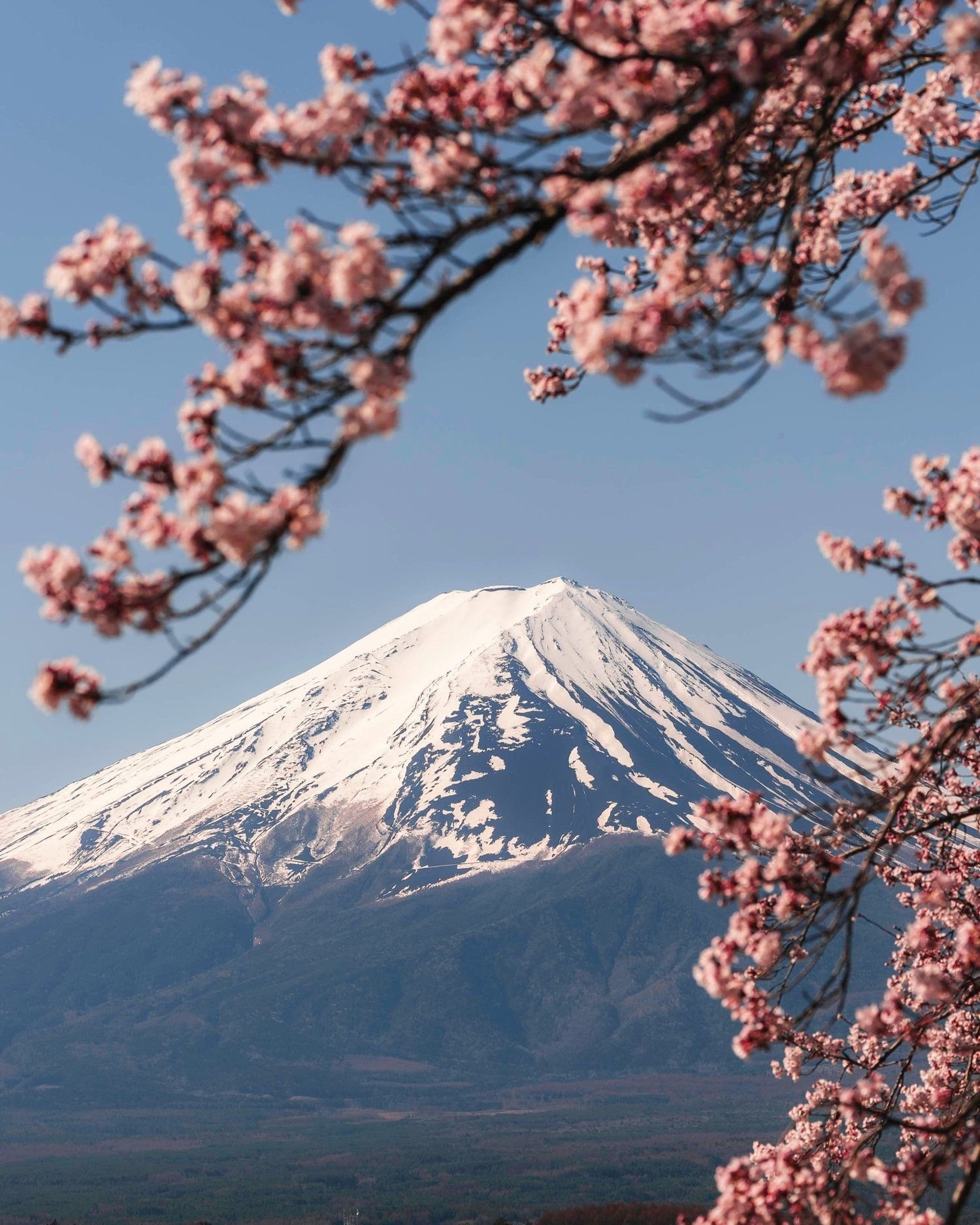 heinz_jurgen11's profile picture. 絵描き18成人済/原神🌱/スタレ🐉/あんスタ🍬/プロセカ❄️/StrayKids🐰🥟中心箱推しSKZ垢▶︎@mau_stay/ほぼゲームか日常/たまにお菓子作り