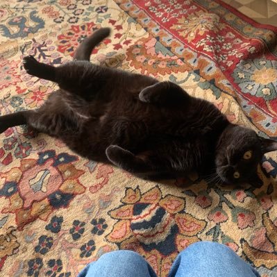 bigestre's profile picture. Tkt