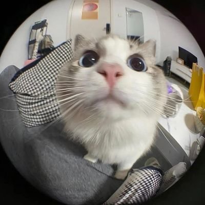 Grefi13379's profile picture. 