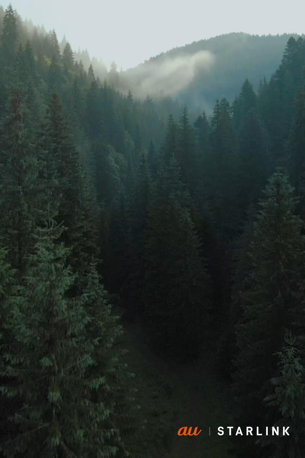 oasiskinjyou's profile picture. TL見るだけ