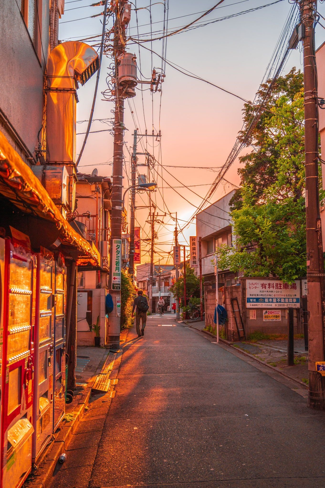 obukina's profile picture. 🎗️AIイラスト🎗️素敵だなと思ったらすぐいいね押しちゃいます(⸝⸝⸝◜𖥦◝⸝⸝⸝)お気軽にフォロー＆絡みお待ちしております🫶🏻✨いつもリプ、RT、いいね、ありがとうございます大好きです(,,. .,, )💕