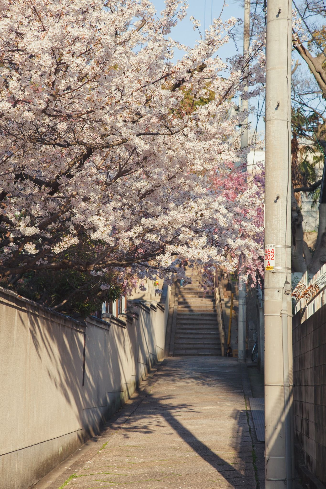 s211971's profile picture. 日本のWEB３,NFTを応援しています。AIイラスト描いてます　＃AIイラスト部　クリプト、Defiもちょっとずつ触り始めました、音楽ネタもちょこっと。初心者ですが宜しくお願いします🙇‍♂️　＃NFT