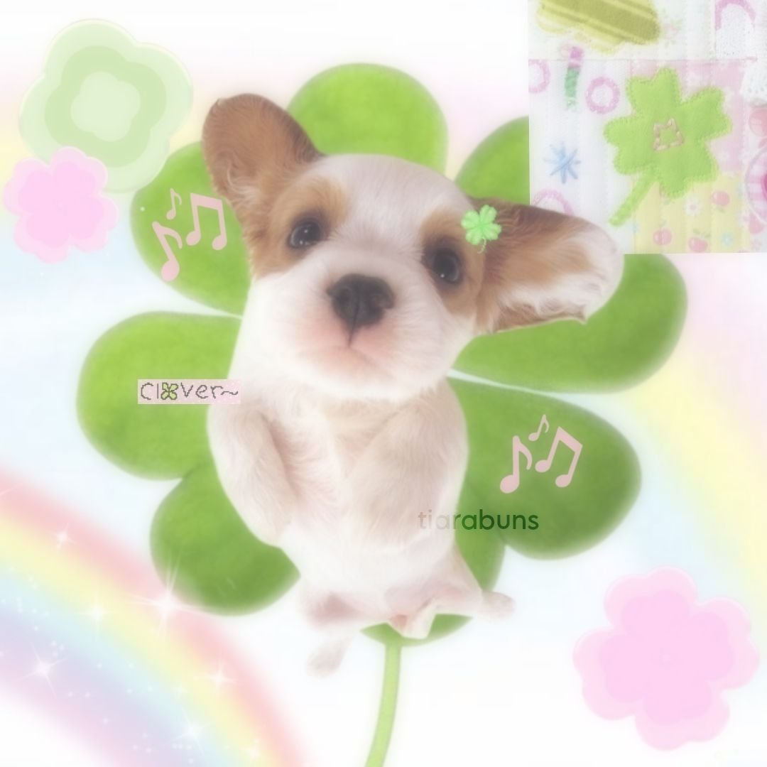 SandraLoves12's profile picture. (ほしかぜ)星風みんと！個人Vtuber19/01/14デビューYouTube.Twitchで活動しています！FAタグ: #星風絵 /＃星風みんと #みんとの生放送 コラボのお誘い等はお気軽にDMにて！原神崩スタ鳴潮/APEX.S17.18マスター/VALORAN.S2 のぢ@no1shyv 様