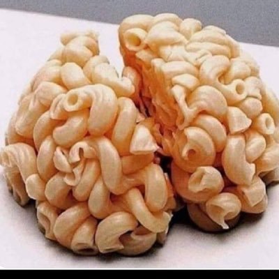 mustafa32590502's profile picture. doğa Ve hayvan