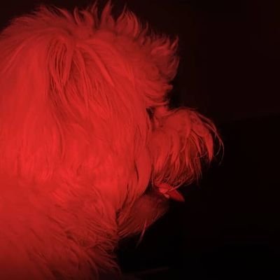 prettyblanq's profile picture. 