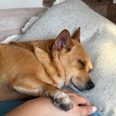 JuanmaQuint's profile picture. 