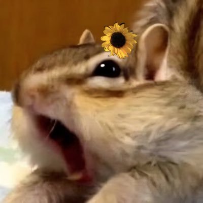 seo_bidan's profile picture. 