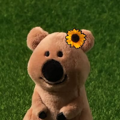 chaex2027's profile picture. 2n ☘️ 너희가 그 누구보다 행복했으면 좋겠어