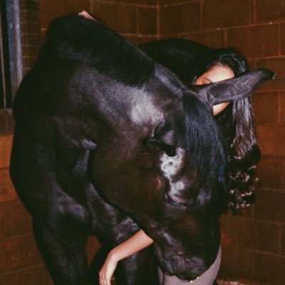 dearmaviila's profile picture. 