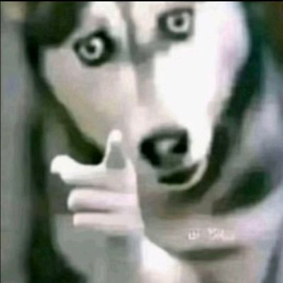 BigHopeccc's profile picture. my old account got suspended please my old 50 followers please follow this new account