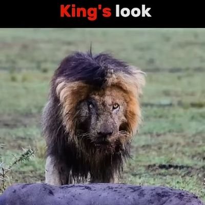 JoshiYjoshi2796's profile picture. 