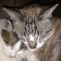 Kinzoh_Tamatsukuri (@kinzoh) 's Twitter Profile Photo