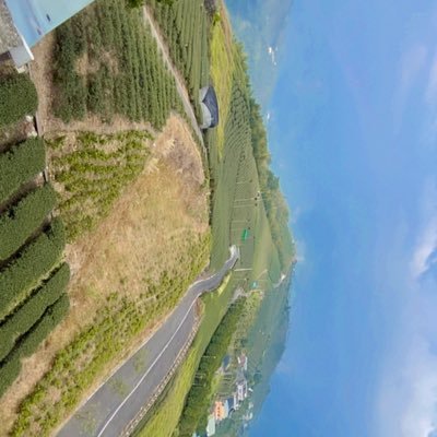 zxc09022817's profile picture. 