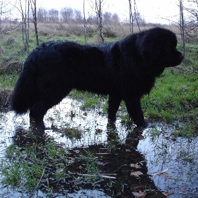 Peterhardwick17's profile picture. Retweet means I pressed wrong button. socialist when there’s one worth it. Would prefer Anarchist but there’s never one to vote for. Missing a trick there, lads