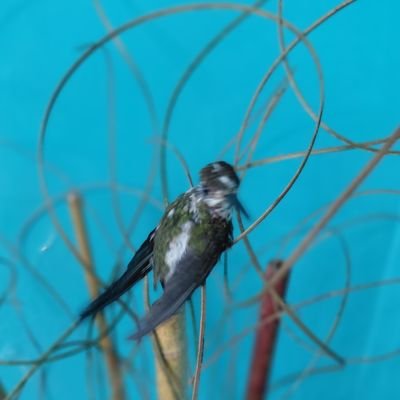 FeryEduDavalos1's profile picture. 📌La 𝒗𝒊𝒅𝒂 𝒆𝒔 𝒅𝒆𝒔𝒂𝒕𝒂𝒓 𝒏𝒖𝒅𝒐𝒔, 𝒅𝒆𝒔𝒉𝒂𝒄𝒆𝒓 𝒆𝒓𝒓𝒐𝒓𝒆𝒔,𝒂𝒗𝒂𝒏𝒛𝒂𝒓 𝒆𝒏 𝒍𝒂 𝒍𝒂𝒃𝒐𝒓, 𝒊𝒎𝒑𝒐𝒓𝒕𝒂𝒏𝒕𝒆 VOLVER A EMPEZAR.