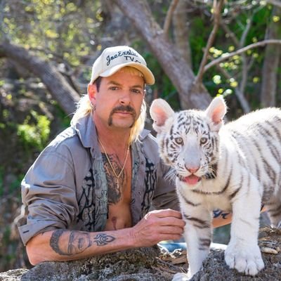 Rural_ohio2025's profile picture. Culture is fascinating