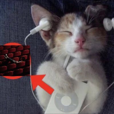 ucykznt's profile picture. 순애콤