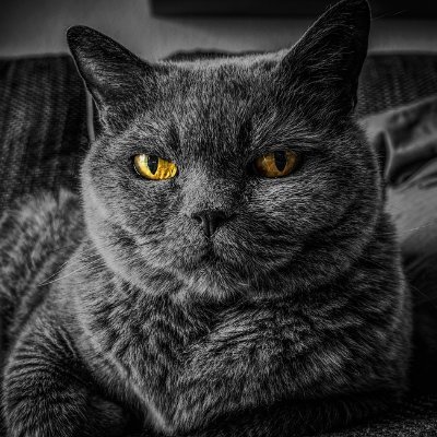 zwmvd91267183's profile picture. 私は日本株投資、特に株価が倍増する高成長株に注力してきました。経験と実証分析を組み合わせることで、価値と成長の可能性を両立する企業を見極めることに長けており、実践的かつ将来を見据えた情報を提供しています。

株式トレードに興味がある方は、ご観覧のほど宜しくお願いします。
リンクからご連絡、メルマガのご登録ができますので