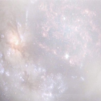 undyinglo3e's profile picture. 