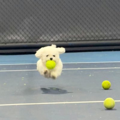 Hijane0711's profile picture. 