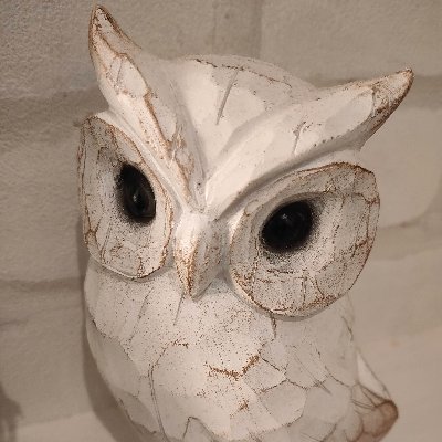 qlMZRlXGLu66377's profile picture. 20世紀以降の言語哲学・構造主義・脱構築を継承しつつそれらを越える新たな理論枠として「反意味論」を提唱。研究の中心課題は「意味の終焉と構造の持続」であり、言語的意味作用を支える制度的・認識的条件を剥離することで非意味的構造の可能性を記述する。#哲学 #意味論 #philosophy #language #Theory