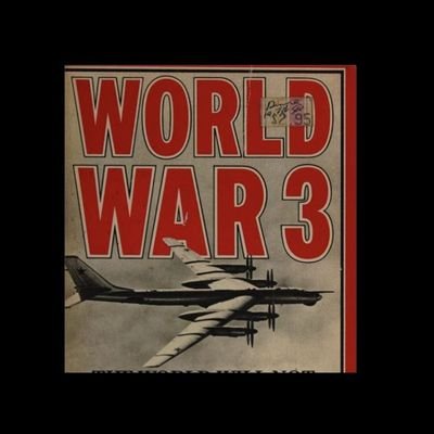 WorldWarIIIInfo's profile picture. 🗃️ Documentation on World War III
