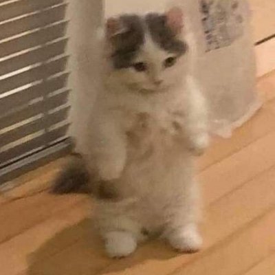 aleksivclone's profile picture. @SPT_1st