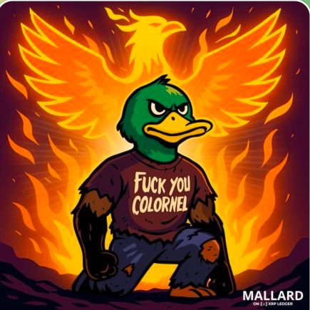 beby_no1's profile picture. #sol #btc, #usdt , kripto pazarlama