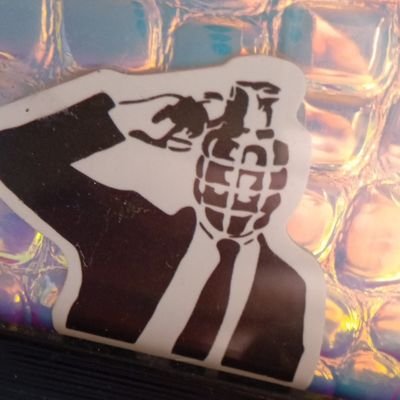 fragmichdoch23's profile picture. Wer alles blind glaubt und nichts hinterfragt, der muss ein Narr sein 

Pronomen: verhaftet/die Verräter