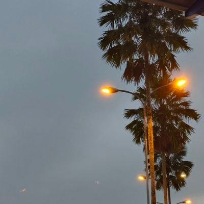 fnara03__'s profile picture. Just me!