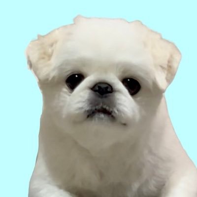 ラテ。(4)さんのプロフィール画像
