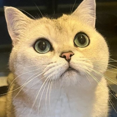 paulldennis's profile picture. Every book is a new world