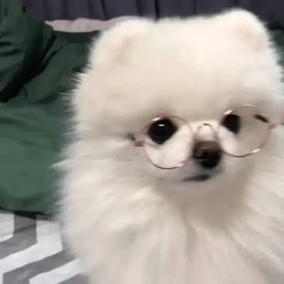 Dao_1210's profile picture. ⋆. 𐙚 ˚ เป็นไอ้ซิ้กที่ชอบติดฝน ⭑.ᐟ ꒰ @basjtr. @maxky_rp ꒱ ➤ ꒰ @Tle_mtm . @firstone_wnk ꒱