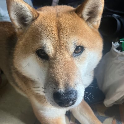 vsnqXsZByV71228's profile picture. 