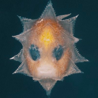 StizzyXL's profile picture. 