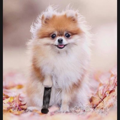 Kaikola2's profile picture. #6CODE #บาสเด็กอ้วนที่แท้จริง #แม็กกี้บาส แอคสำรอง @kaikola22