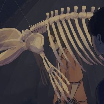 花落葉🐋さんのプロフィール画像
