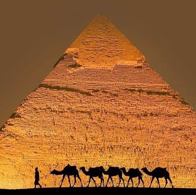 Adedamade12's profile picture. 