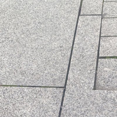 anonym_yyin's profile picture. 